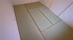 ディアスノバク 0202号-5