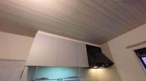 ディアスノバク 0202号-7