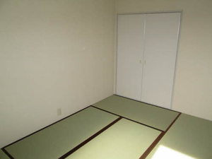 ディアスノバク 0203号-7