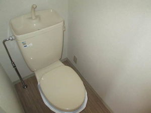 ディアスノバク 0203号-11