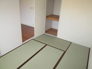 ディアスノバク 0203号-13