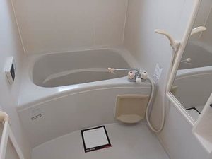 ハイツ森 0206号-11