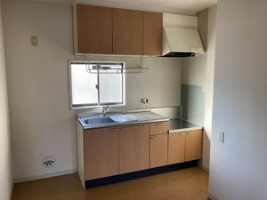 エクセレンス六十谷 0101号-3