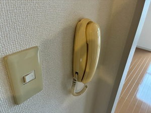 エクセレンス六十谷 0103号-9