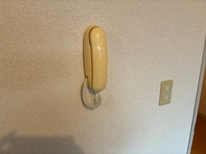 バリュージュ保田 0202号-12