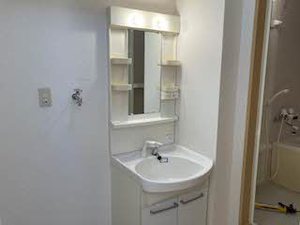 アン・セリジェ 0105号-9