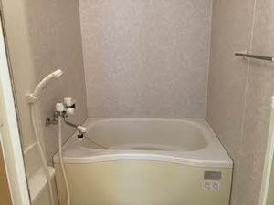 アン・セリジェ 0105号-10