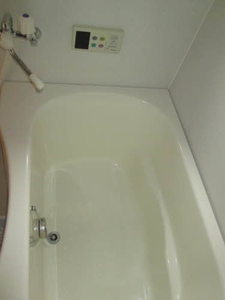 アン・セリジェ　Ⅱ 0107号-12