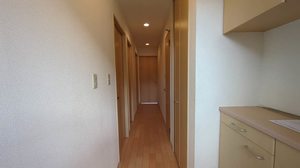 ディアス赤坂 0101号-3