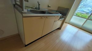 ディアス赤坂 0101号-5