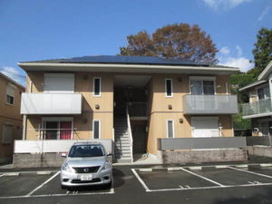 ディアスＤ 0203号-13