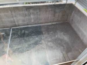 ＭＡＳＴ　ＣＯＵＲＴ鳴神 0101号-11