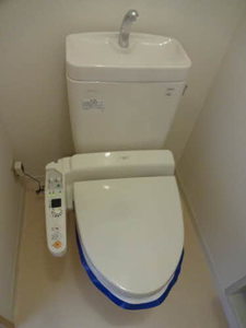 フローラル・アイ 0105号-13