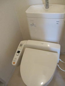 フローラル・アイ 0102号-2