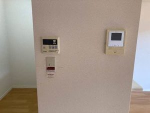 フローラル・アイ 0102号-11