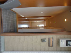 フローラル・アイⅡ 0105号-3