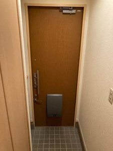 フローラル・アイⅡ 0206号-4