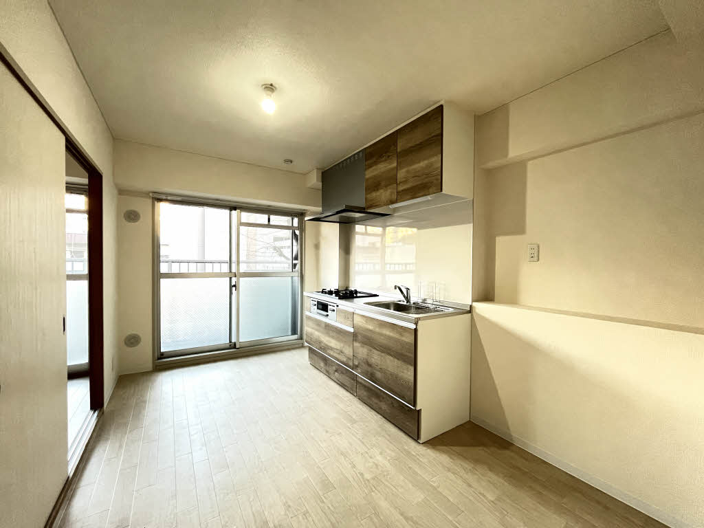 大西ハウスサツマボリ 0202号-5