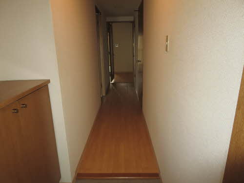 メルヴェイユ野田 0201号-3