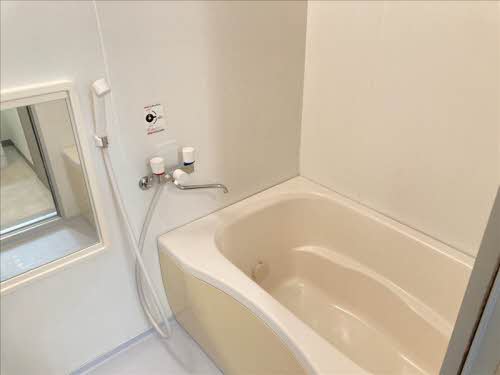 Le plaisir(ル・プレジール) 0502号-5