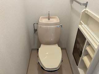 フレグランス畑毛 0206号-12