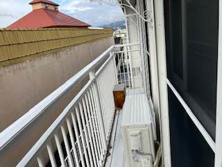 フレグランス畑毛 0206号-15