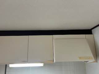 エレナ和歌浦 0202号-12