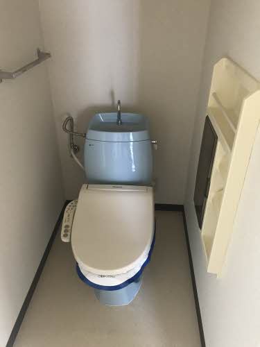 フレグランスさつき 0201号-11