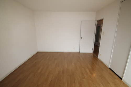 ディアスコスモ 0111号-3