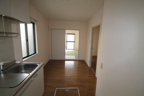 ディアスコスモ 0111号-9