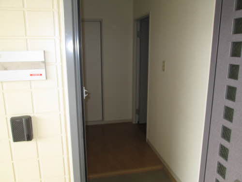 ディアスノバク 0203号-2