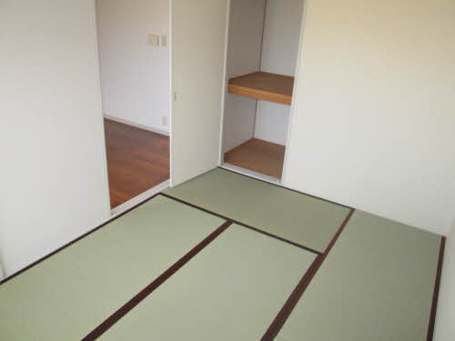 ディアスノバク 0203号-13