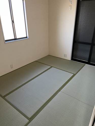 ディアスノバク 0205号-10