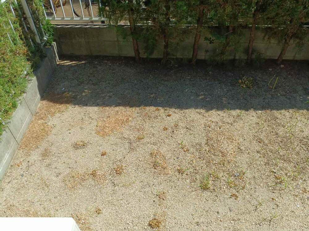 セファミ荊本 0106号-14