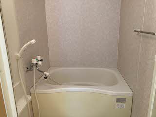 アン・セリジェ 0105号-10