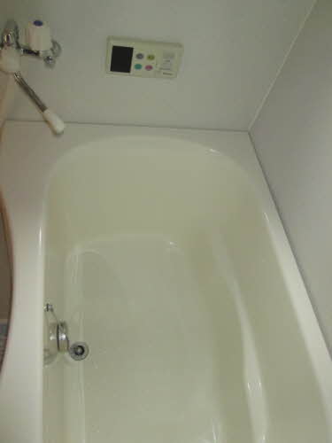 アン・セリジェ　Ⅱ 0107号-12