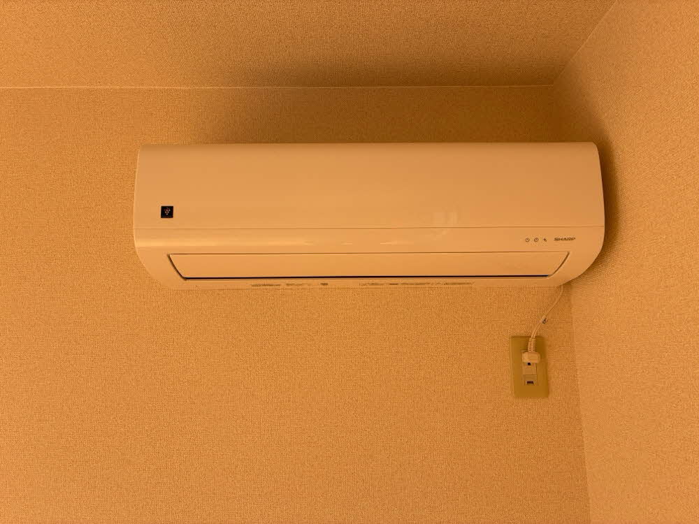 フローラ 0205号-13