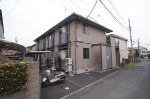 Ｇｒｅｅｎ　ｆｌａｔｓ