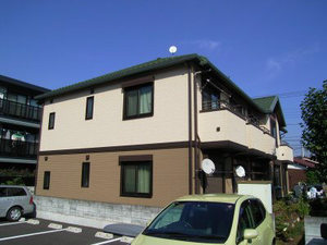 ＳＨＡＷＯＯＤ・ＭＡＩＳＯＮ