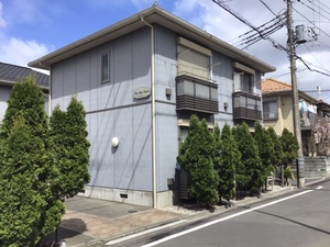 パール・ブラウ　Ｓ 102号-1