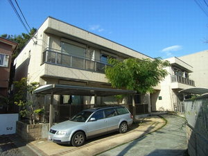 シルキーツリー