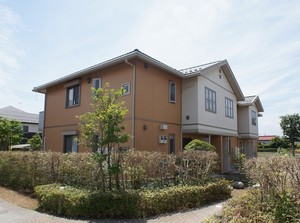 フムルス・ルプルスＢ