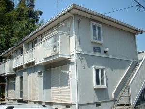 カメリア　Ｂ 102号-1