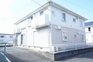 カメリアクール　Ｂ