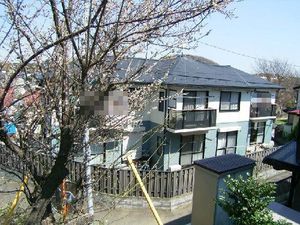 リバー・コート 101号-1