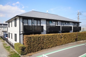 ヴィオラ 101号-1