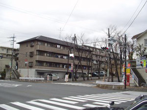 アベニューすみれが丘 203号-1