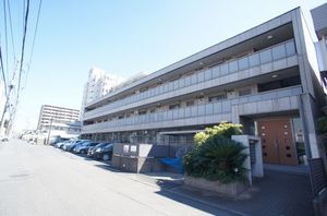 Ｍａｎｓｉｏｎ　ｇｒｅｅｎ　ｇｒａｓｓ