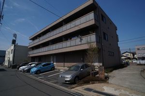 シャルマン参番館 303号-1