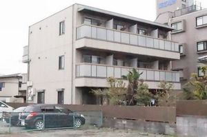 ロベリア 203号-1